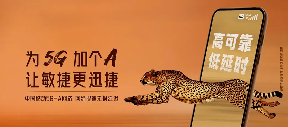 广信区广信区望仙乡 移动宽带移动宽带办理资费表